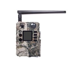 Фотоловушка BolyGuard BG310-M, фото 