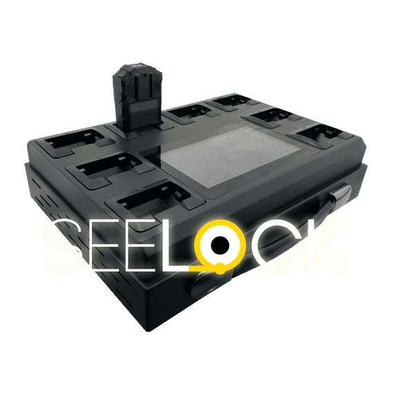 Терминал зарядки и архивации Seelock RS-8, фото 