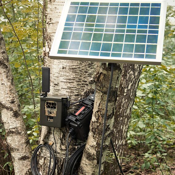 Фотоловушка SEELOCK S378, фото , изображение 4