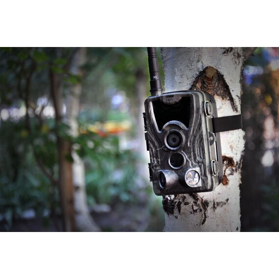 Фотоловушка Филин 300 ММС, фото , изображение 6